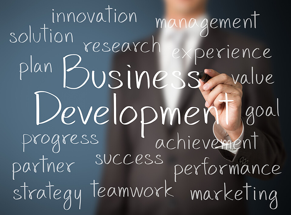 Business Developer Service
